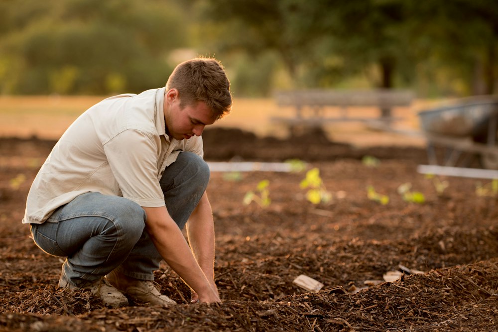 Our farms