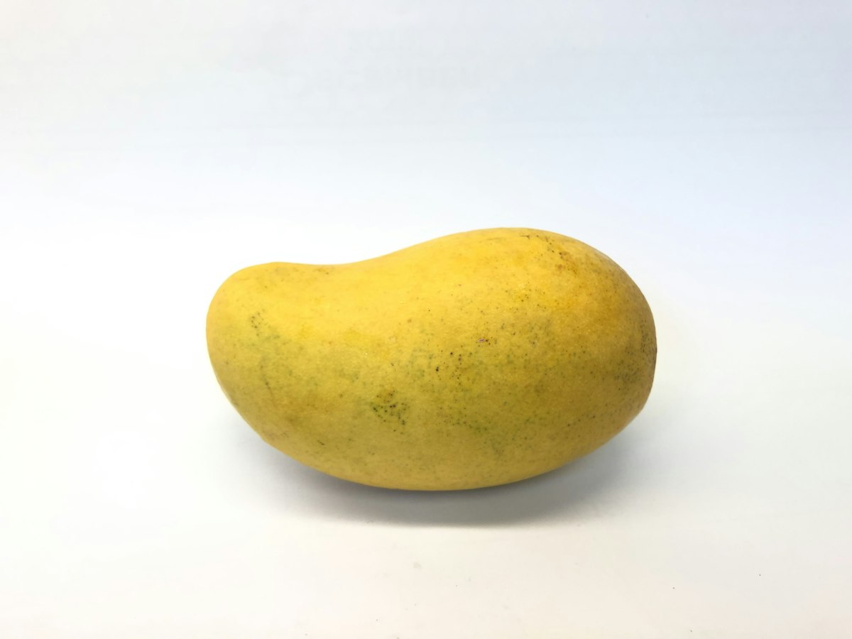 Mango Orchard Development