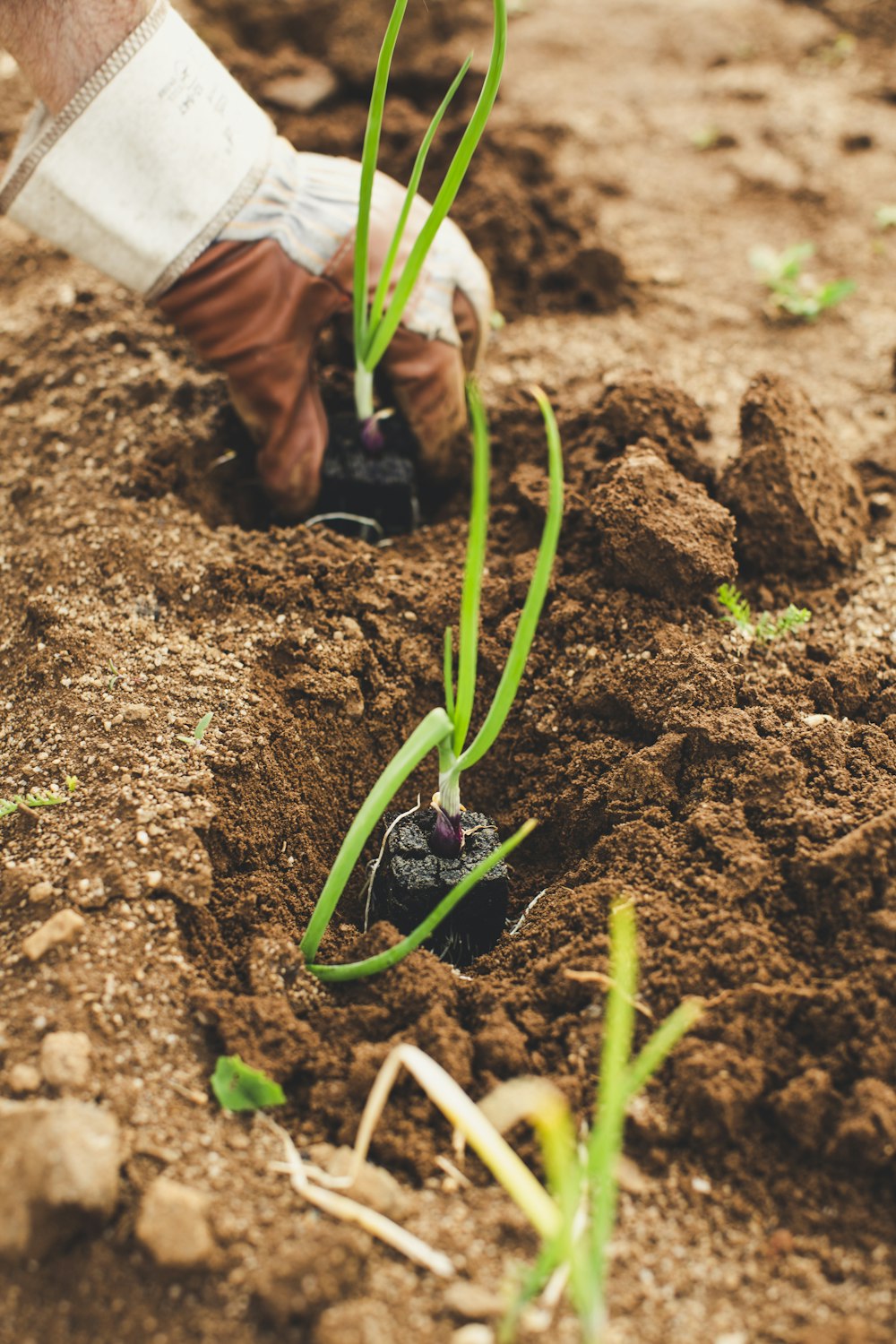 Growvest opens new aqua project in Mymensingh